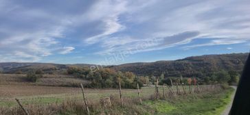 Sahibinden Asarcık Yolu Üzeri