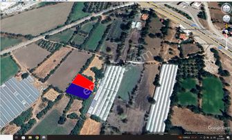 Çavdır Çınar Mah.de Çevreyoluna Adım Mesafede 3 Parça Bahçe