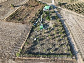 Kızılcıkdere'nin Meşhur Üzümlerinin Arasında Bal Üretim Bahçesi