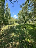 Suyun Cenneti Ağlasun Yeşilbaşköyde Satılık Fırsat Bahçe