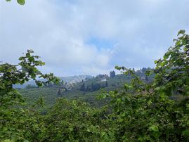 Trabzon Mağmat Boğazında Satılık 6.230m² Muhteşem Bir Arsa