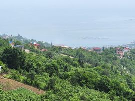 E&d Gyo'dan Trabzon Kavala'da Satılık 1050 M² Manzaralı Arsa