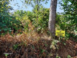 Arsın Yesılyalı'da Satılık Arsa