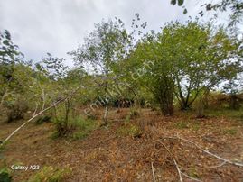 Yeşilyalı'da (ladom) Satılık 2800m² Arazi