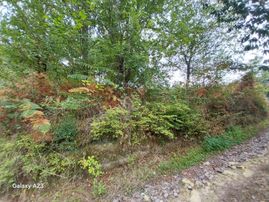 Yeşilyalı'da (ladom) Satılık 2800m² Arazi