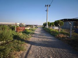 Aydın Söke Tuzburgazı Girişinde Satılık Zeytinlik