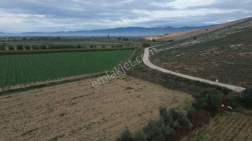 İzmir Tire Mahmutlar Mah. Satılık Fırsat Tarla.