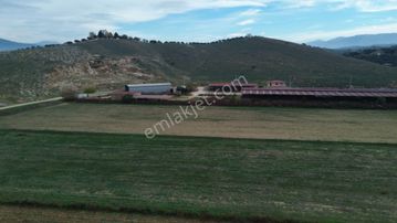 İzmir Tire Mahmutlar Mah. Satılık Fırsat Tarla.