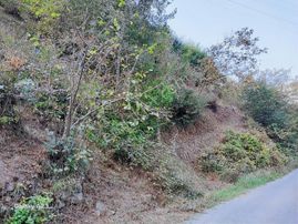 Arsin'de Satılık Arazi