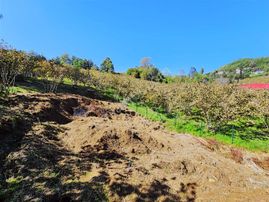 E&d Gyo'dan Trabzon Akoluk Mevkiinde Satılık 1.716 M² Arsa