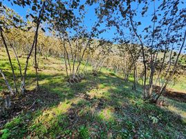 E&d Gyo'dan Trabzon Akoluk Mevkiinde Satılık 1.716 M² Arsa