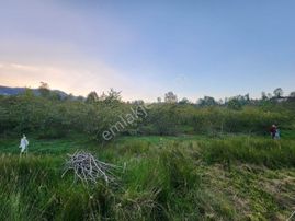 E&d Gyo'dan Trabzon Gölçayır'da Satılık 1.357 M² Arsa