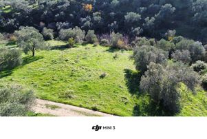 Sağancı Mahallesi Satılık 3476 M² Zeytinlik