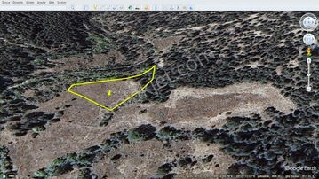Başkan Emlaktan Satılık Gölpazarı Hacıköy 2.798 M2 Tarla
