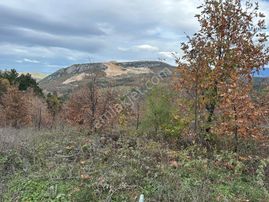 Bursa Orhaneli Göktepe Mahallesi'nde Yola Cephe 14.484 M2 Tarla