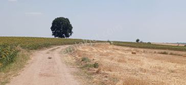 Edirne Orhaniye Köyünde Resmi Yola Cephe 8.500 M Yatırmlık Tarla Satılık