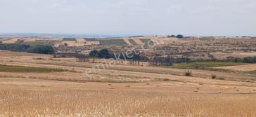 Edirne Orhaniye Köyünde Resmi Yola Cephe 8.500 M Yatırmlık Tarla Satılık