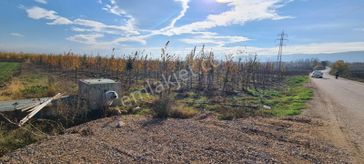 İnegöl Yeniceköy De Yola Cephe Mükemmel Tarla