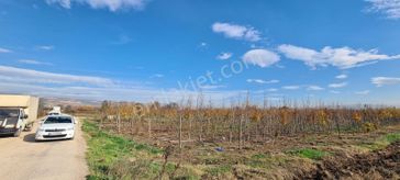 İnegöl Yeniceköy De Yola Cephe Mükemmel Tarla