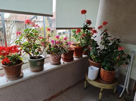 Eryaman Güzelkent Mah. 3 Katlı, Site, Teraslı Satılık Villa