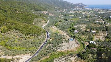 Opimadan Turanlarda Ana Yola Cephe 2840m² Satılık Zeytinlik