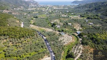 Opimadan Turanlarda Ana Yola Cephe 2840m² Satılık Zeytinlik