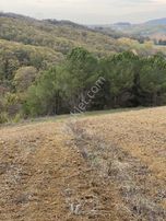 Geredelide Orman Ve Kısmi Gölet Manzaralı Satılık Arazi