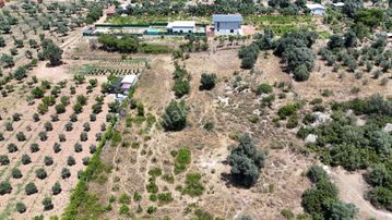 İzmir Dereköy'de Satılık 4.400 M2 Köye Yakın Çiftlik İçin Uygun Arazi