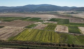 Balnova Gayrimenkul Den Kocavaşvar Da Köye Yakın Tarla