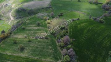 Çanakkale Merkez Ulupınar Da Satılık Tarla