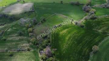 Çanakkale Merkez Ulupınar Da Satılık Tarla