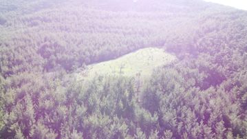 Haliloğlu Köyünde Satılık Tarla