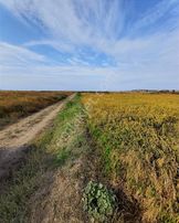 Çanakkale Merkez Kumkale De Elektirk, Su,yolu Olan Satılık Tarla
