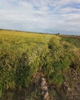 Çanakkale Merkez Kumkale De Elektirk, Su,yolu Olan Satılık Tarla