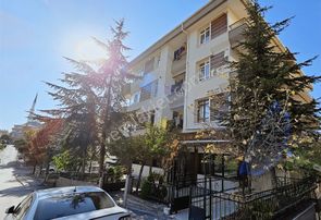 Remax Elma'dan Dervış Özdemır Cd Bahçe Kullanımlı 6oda Lüks Ofıs