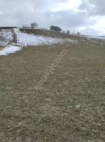 Ankara Akyurt Kızık'ta Fırsat Fiyatıyla Arsa 3147 Ada Tatar Çayı