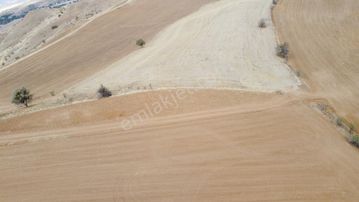 Çınar Da Köy Merkezine Yakın Yol Kenarı Manzaralı 26.000 Metre