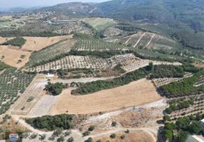 Kuşadası Yaylaköy'de 8 Dönüm Fırsat Tarla
