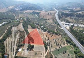 Kuşadası Yaylaköy'de 8 Dönüm Fırsat Tarla