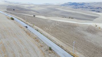 --*altınova Da İmara Sınır 1019 Parsel 261 Metre--*