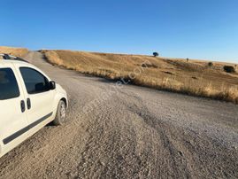 -*-teberik De Yol Kenarı Düzlük Te Kök Tapu Tarla-*-