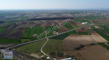 Saray Çayla Köyünde 3000 M2 Tek Tapu Tarla