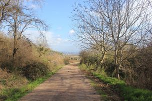 Karacabey Danişment'te Yola Cephe 2600 M2 Yatırımlık Tarla