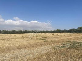 Bursa Karacabey Sultaniye Köye 300 Metre 3 Dönüm Tarla