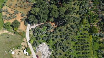 Kemalpaşa Aşağı Kızılca Satılık 586 M² İmarlı Müstakil Tapu Arsa