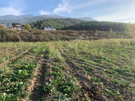 My Home Gayrimenkul'den Tire Büyükkale Mah.de Satılık Tarla