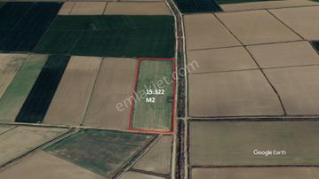 Aydın Söke Akçakaya'da 15.322 M2 Tek Tapu Pamuk Tarlası Satılık