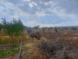 Eskişehir Yakakayı 32 Dönüm Kurulu Çiftlik Meraklısına Kısa Süre