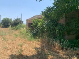 My Home Gayrimenkul'den Bayındır Pınarlı Mah.de Satılık Tarla