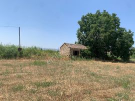 My Home Gayrimenkul'den Bayındır Pınarlı Mah.de Satılık Tarla